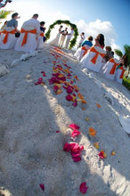 Load image into Gallery viewer, Cozumel Beach