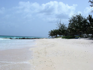 Barbados Beach - Barbados