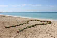 Load image into Gallery viewer, Beach - Freeport, Bahamas