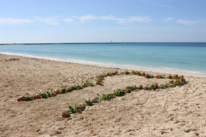 Beach - Freeport, Bahamas