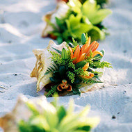 Conch Shell Aisle - Shoreside - Cozumel