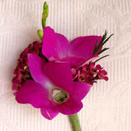 Boutonniere - Orchid - Grand Cayman