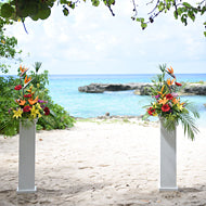 Arrangements - Tropical Flowers - Grand Cayman