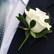 Boutonniere - Rose - Freeport