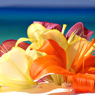 Cake Topper - Tropical - Barbados