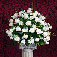 Arrangements - Roses & Orchids - Port Everglades