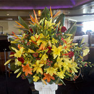 Arrangements - Tropical Flowers - Miami