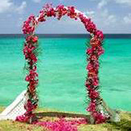 Bougainvillea Arch - Shoreside - Barbados