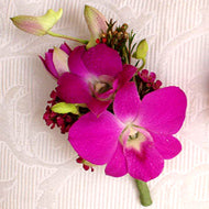 Corsage - Orchid - Charleston