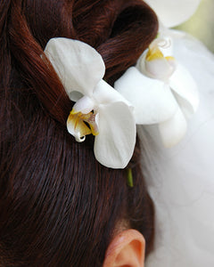 Hair Accent - Orchids - Baltimore