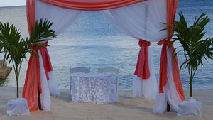 Palm Tree - Shoreside - Grand Turk