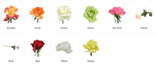 Load image into Gallery viewer, Color Change Roses - Grand Turk