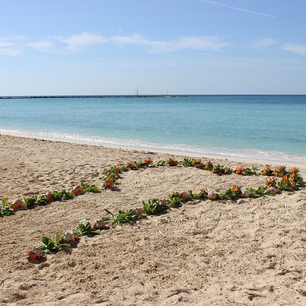 Circle of Love - Shoreside - Freeport